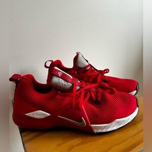 Nike Zoom Ohio State Train Command Collection shoes